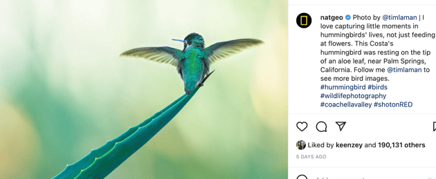 screenshot of user generated content from national geographics instagram